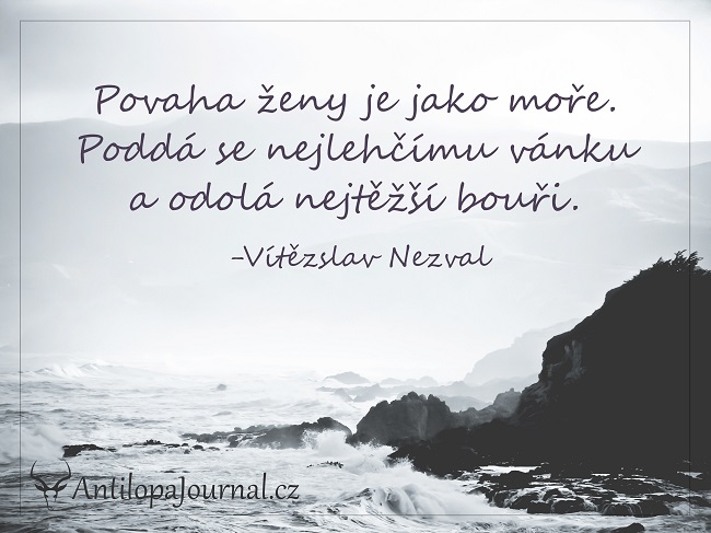no55_L cz