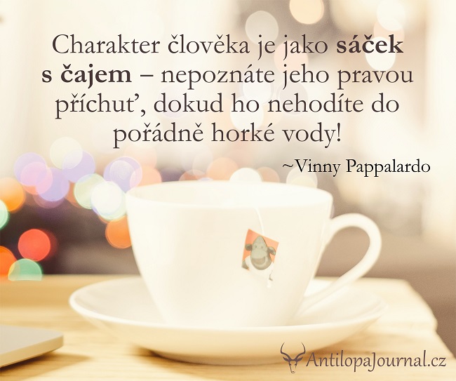no56_L cz