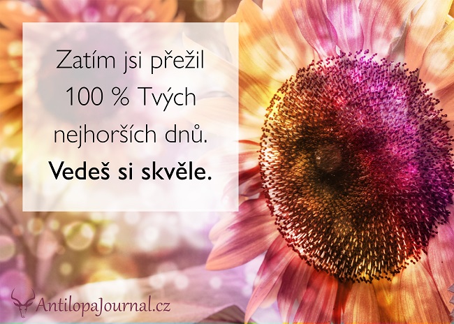 no58_L cz