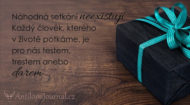 citat_89-cz