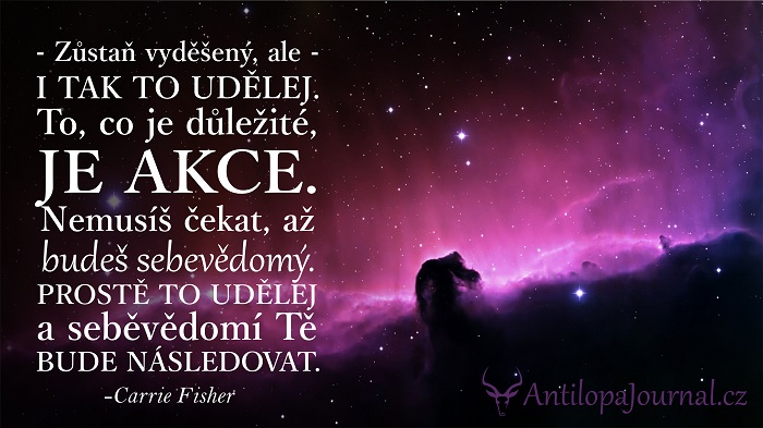 citat_92-cz