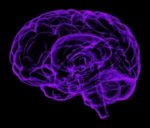 brain-1787622_px-kopie