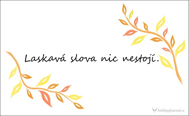 citat_104-cz