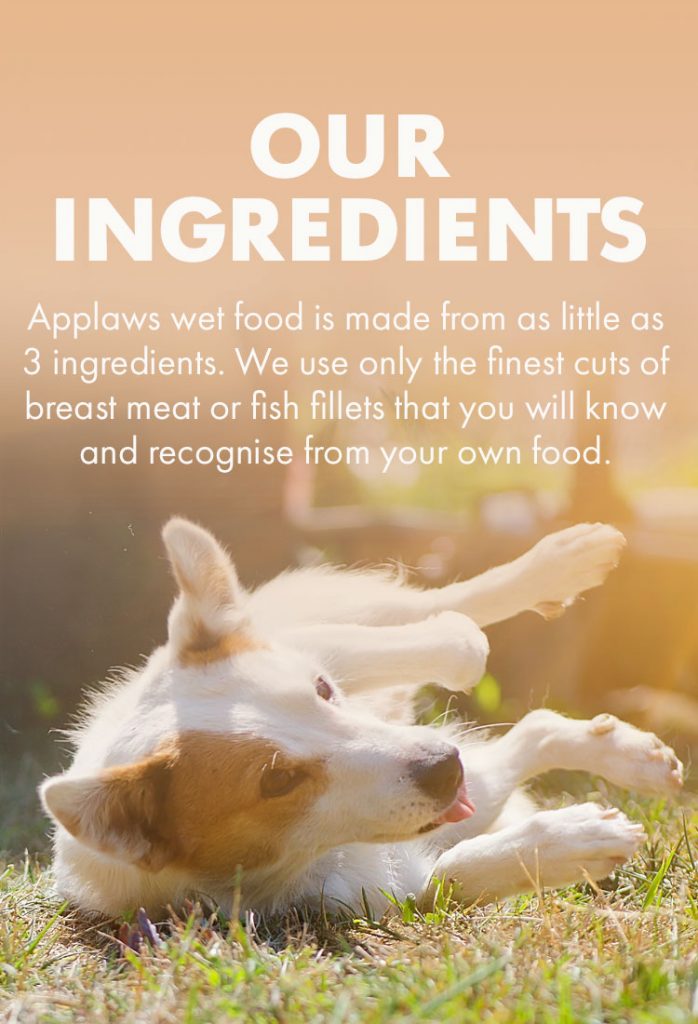 applaws dog food stockists