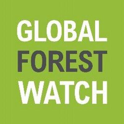 © Global Forest Watch