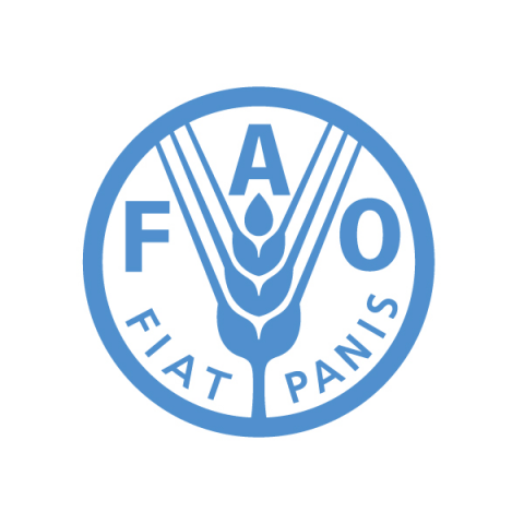 © FAO