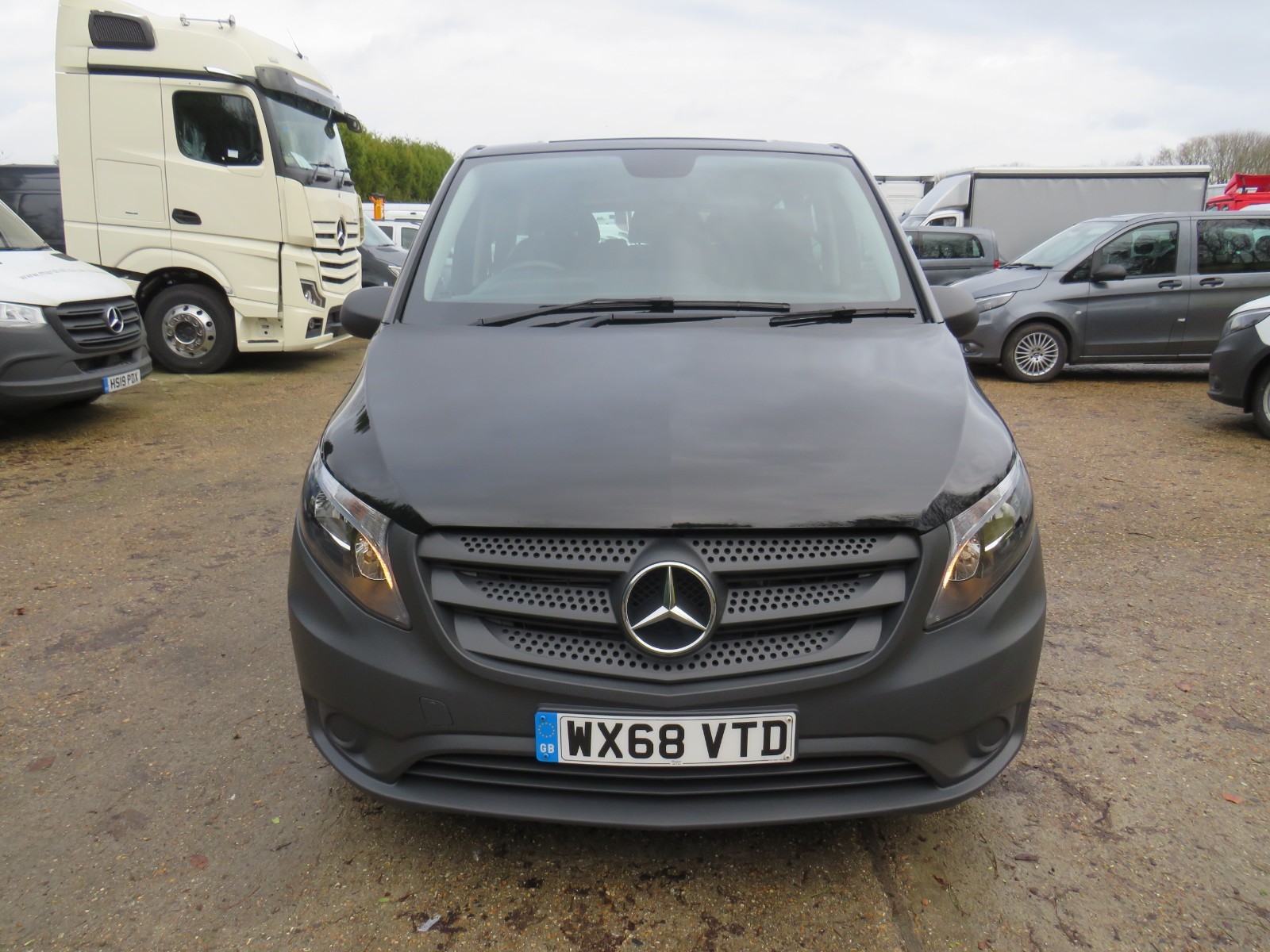 Get Marshalls mercedes poole Free