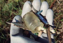 Natura zaborrik gabe. Ingurumen boluntariotza / Naturaleza sin basura. Voluntariado ambiental