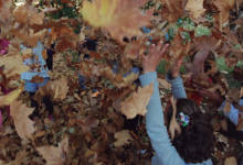 Cristina Eneako lau urtaroak: udazkena / Las cuatro estaciones de Cristina Enea: otoño