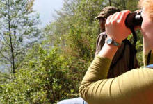 Hegaztiak: ezagutu, behatu eta parte hartu / Aves: conoce, observa y participa