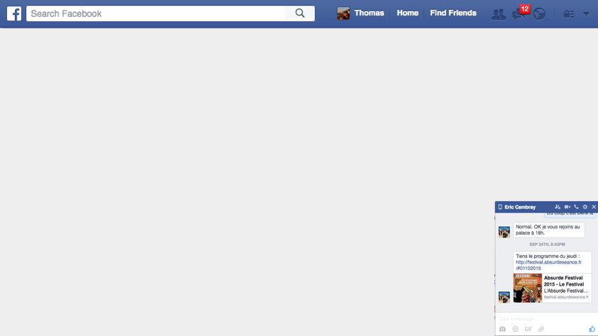 fb chat panel