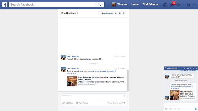 fb chat panel