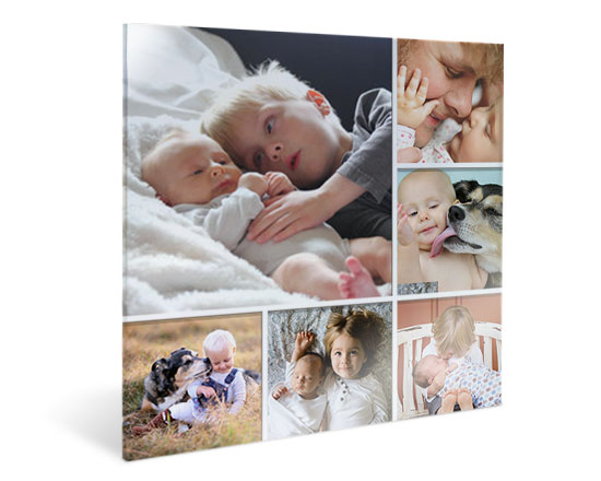 collage bimbi plexi