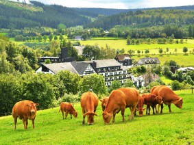 enjoy hotel alpin enjoy hotel alpin