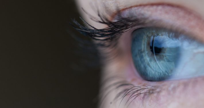 Retina scan biometrics