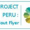 Project_flyer_thumb