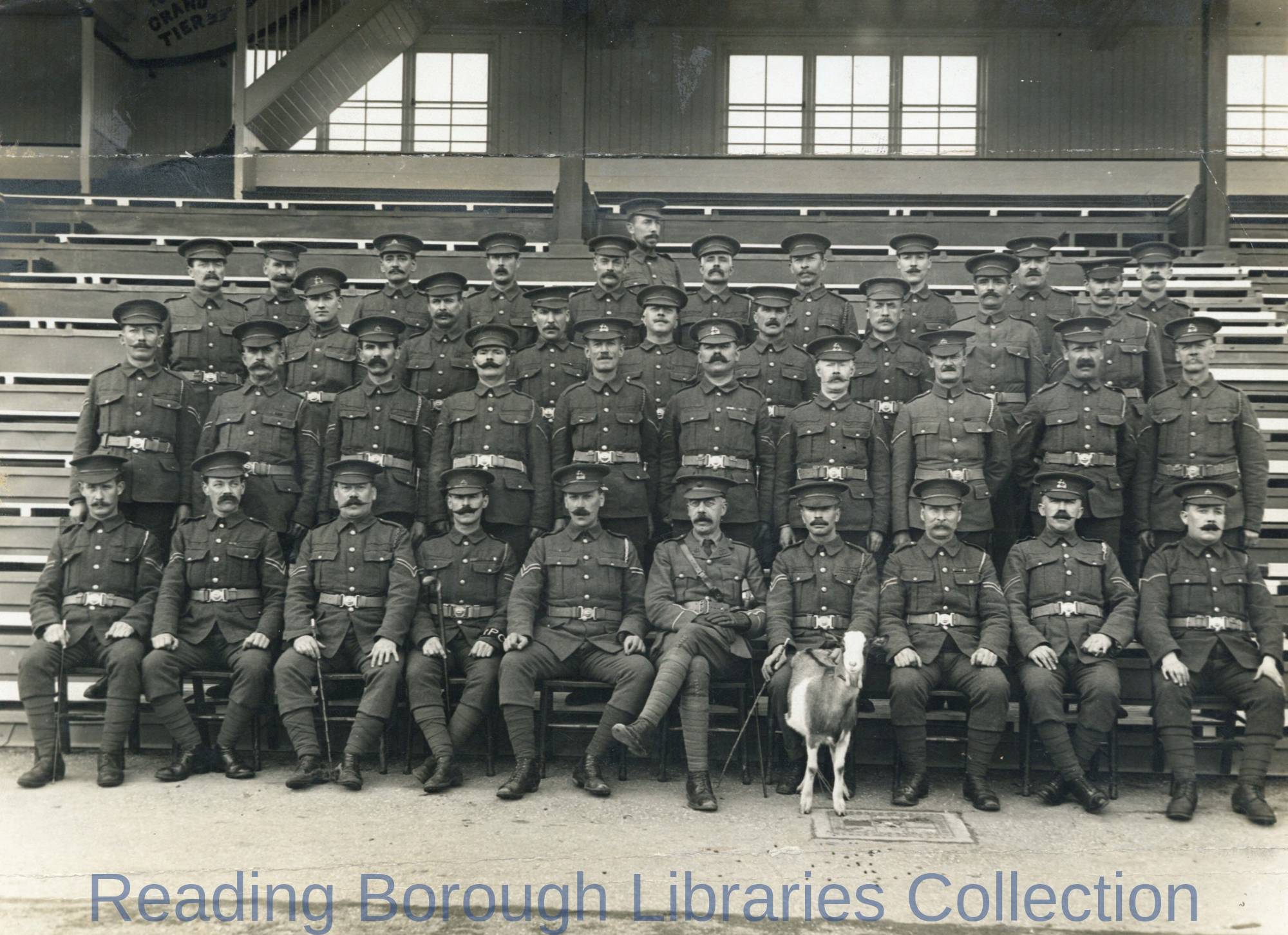 Corporals and Regimental Pet Goat, National Reserve Prison Guard, Prisoner-of-War- Camp, Newbury Racecourse, 1914. Corporals and Regimental Pet Goat, National Reserve Prison Guard, Prisoner-of-War- Camp, Newbury Racecourse, 1914.