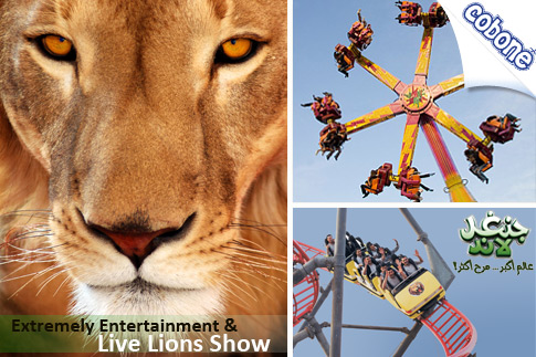 Jungle Themed African Safari at Jungle Land