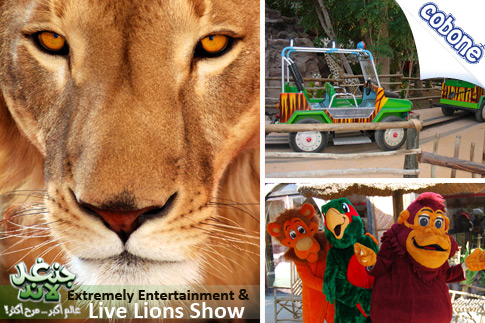 Jungle Themed African Safari at Jungle Land