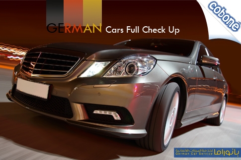 Car Inspection and Diagnosis at Panorama