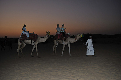 Cobone deals dubai desert safari
