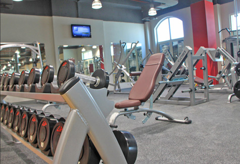 Fitness deals uae
