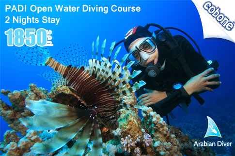 Get your PADI Advance course Certification and enjoy 5 dives from onboard a luxury boat for AED 1050 (Value AED 2100) – Take the plunge!