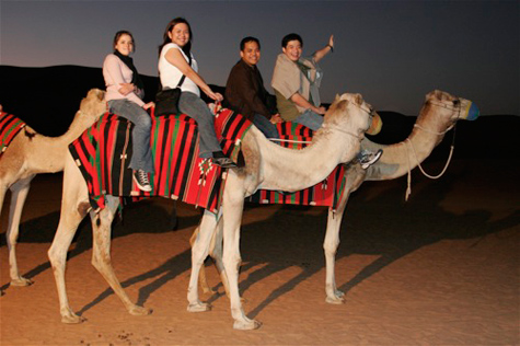 Cobone deals dubai desert safari