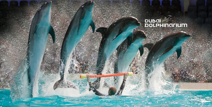 Dubai Dolphinarium Live Performances