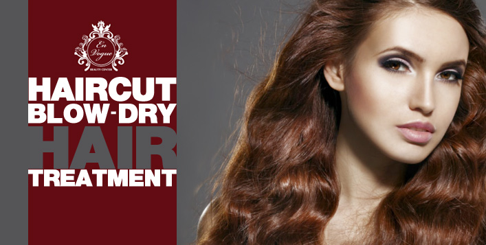 Get a Haircut + Blow-Dry 