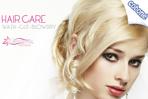 Combat hair fall with specially formulated ampoules, a wash with anti-fall shampoo, a haircut, blow-dry and 10-minute head massage for AED 59 from Laverenda Beauty Center (Value AED 300) – Receive 50% off other services too!
