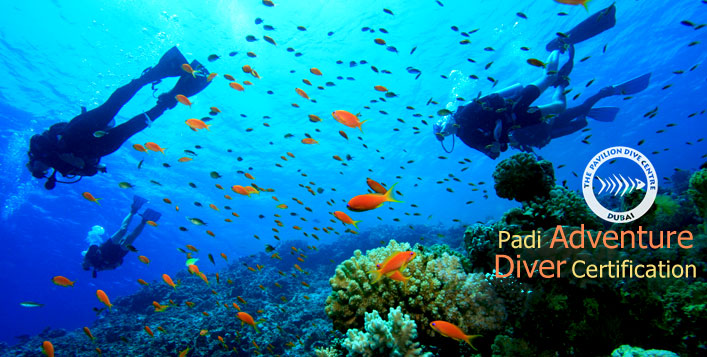 Become a PADI Certified Adventure Diver