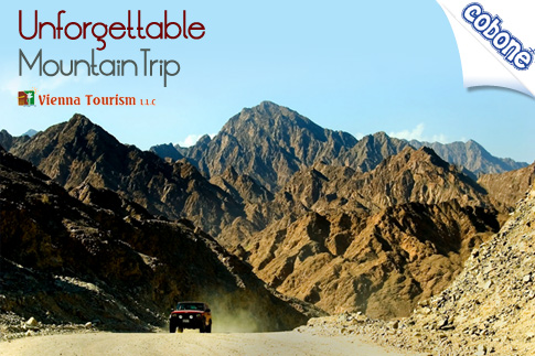 Discover the wonders of Hatta with a mountain safari, and visits to the springs, heritage village, and carpet market for AED 229 from Vienna Tours (Value AED 460) – Lunch and transport provided!
