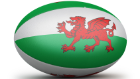 wales rugby ball
