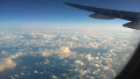 Up in the air!