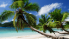 seychelles