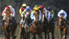 Pontefract Races
