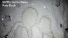 618_music_kate_bush_snow_album.jpg