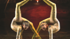 contortion