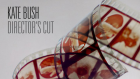 Kate Bush - Director's Cut