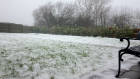 snow.JPG