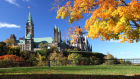iStock_000016266655XSmall.jpg