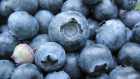 Blueberries fruit food
