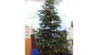 The giant Christmas tree that arrived while we were in Afghanistan...