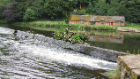 A walk along Durham riverside. Neil Baldwin. Image licensed under Creative Commons