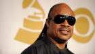 Stevie Wonder.jpg