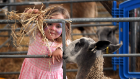 Royal Highland Show.jpg