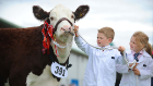Royal Highland Show.jpg