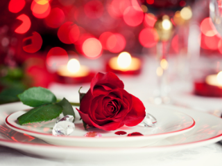 A rose flower on plate