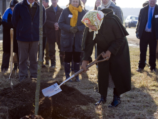 Queen planting tree in Jubilee Wood